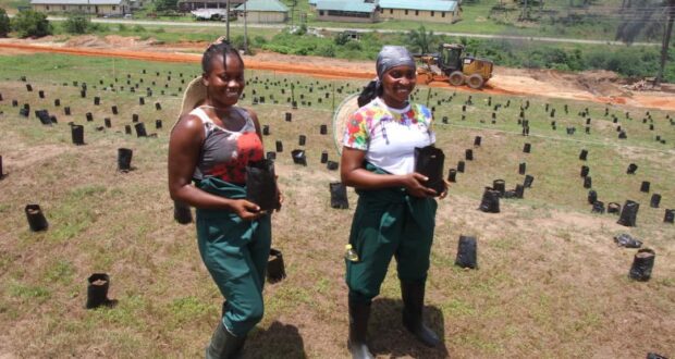 AKWA IBOM’S YOUTH IN AGRIBUSINESS PROGRAM DRIVES RURAL EMPOWERMENT AND FOOD SECURITY(Series 071 )
